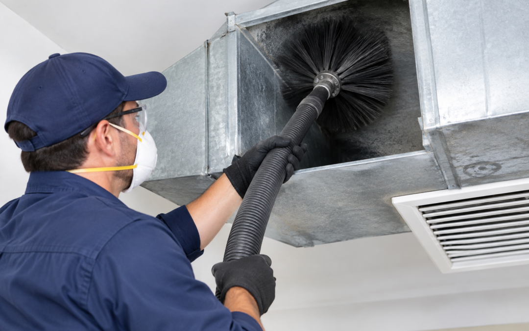 Should You Clean Your Ducts After a Rodent or Pest Problem?